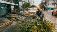 Balance del temporal: las imágenes del paso de la tormenta por la ciudad Balance del temporal: las imágenes del paso de la tormenta por la ciudad