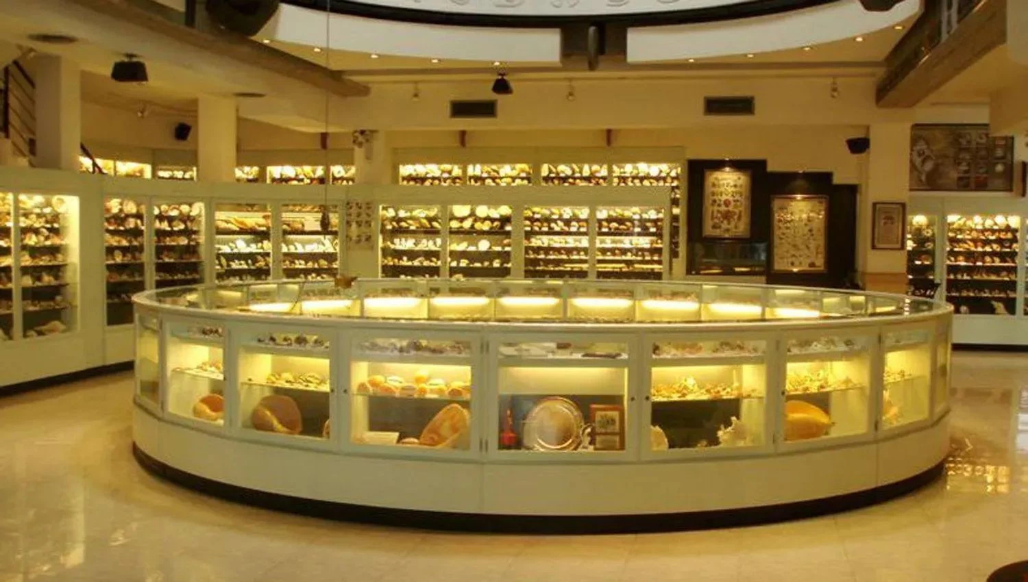 El Museo del Mar: un legado de 30 mil caracoles que se volvió un ícono de la ciudad