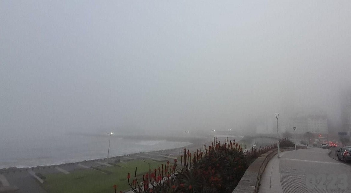 Niebla y doble alerta: cómo estará el tiempo este domingo en Mar del Plata