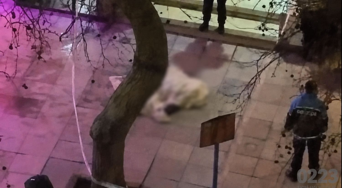 Identificaron al jubilado que murió tras caer desde un edificio