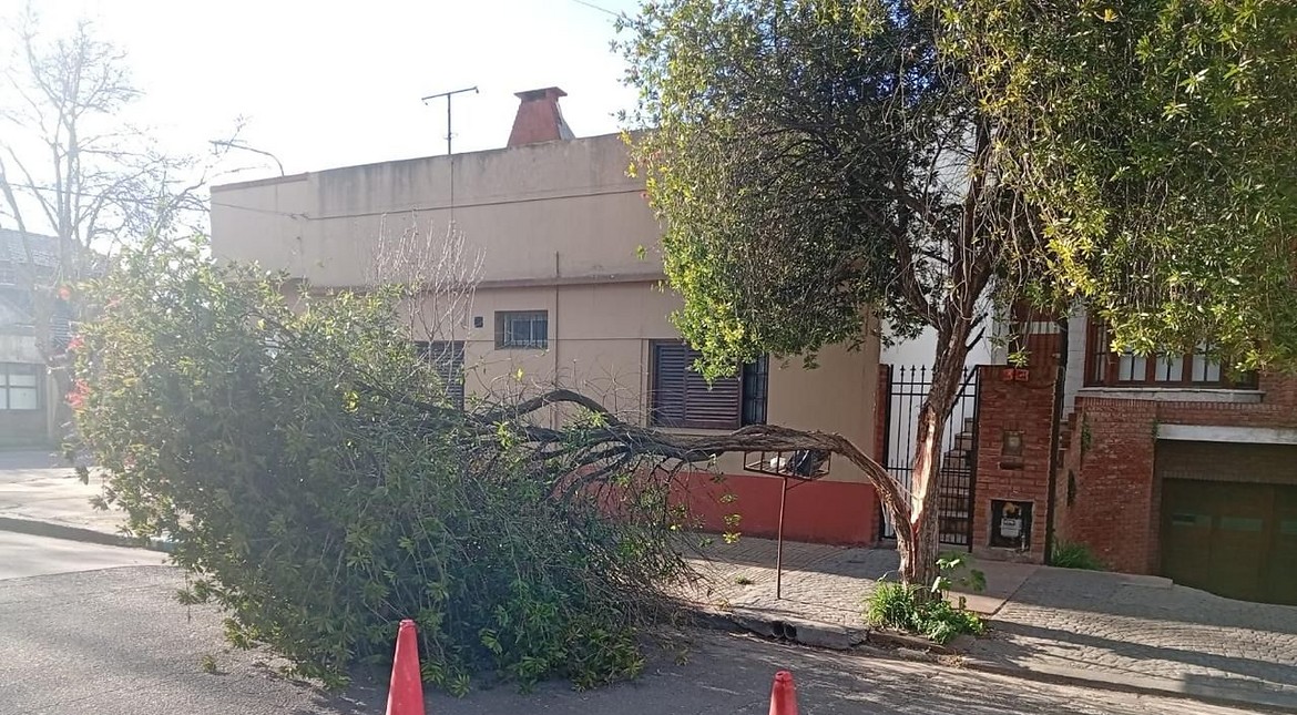 Alerta amarillo por viento para este sábado en Mar del Plata: habrá ráfagas de hasta 70 km/h