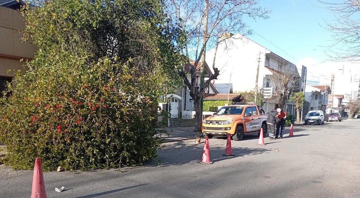 El viento castigó a Mar del Plata: Defensa Civil ya realizó más de 30 intervenciones