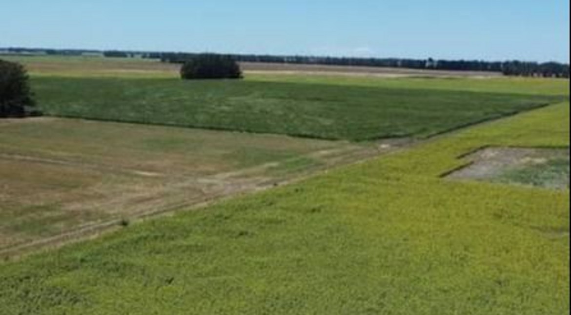 “Dame los dólares que sos papero”: asaltan a productor rural y lo abandonan a varios kilómetros de su casa
