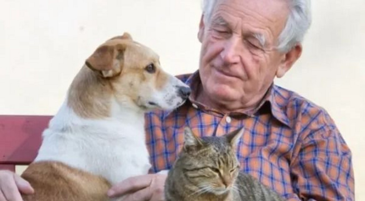 Mascotas en geriátricos: cómo es el proyecto presentado en Mar del Plata