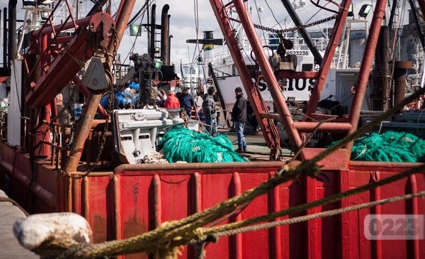 La pesca en picada: un 30% menos y miles de laburos en riesgo