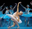 El arribo del Ballet Nacional de Rusia se atrasa una semana más