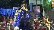 Estampida de elefantes deja 18 heridos