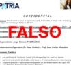 Viral en WhatsApp: es falso el supuesto documento confidencial del Instituto Patria