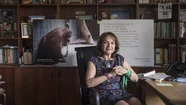 Denuncian a una jueza por utilizar lenguaje inclusivo en sus fallos