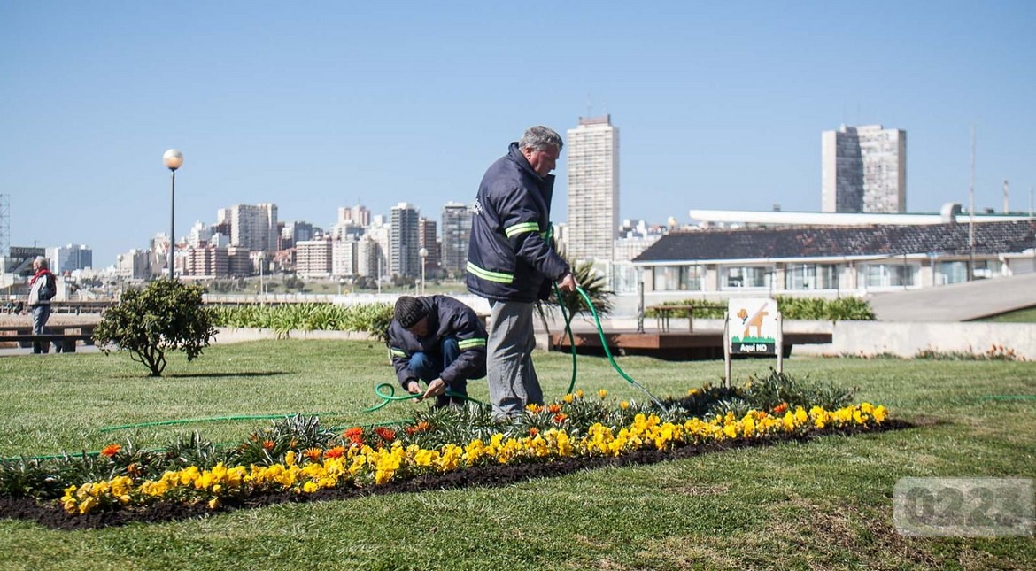 Desde este martes empieza a repuntar la temperatura en Mar del Plata: cuál será el mejor día