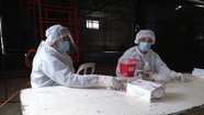 El particular caso de Rauch: ningún contagio de coronavirus desde el inicio de la pandemia