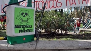 En Necochea cocinarán un guiso “sin agrotóxicos” para concientizar sobre la agroecología