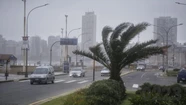 El viento castigará a Mar del Plata hasta el viernes