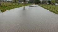 Por el temporal, una calle se transformó en un río y los vecinos reclaman mantenimiento