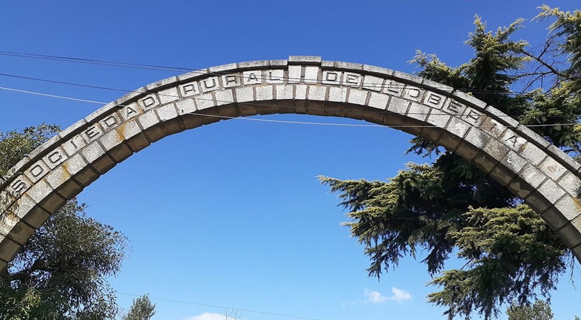 Lanzan una herramienta gratuita que conecta a quienes buscan trabajo con empleadores rurales del sudeste bonaerense