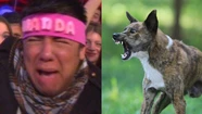 Mariano De La Canal dejó de ser vegano por una insólita razón: "Me mordió un perro y me enojé"