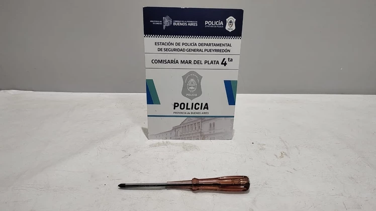 Enojada porque le secuestraron la moto, rompió un patrullero con un destornillador