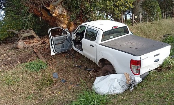 Chocó con su camioneta de frente contra un árbol y debió ser trasladado ...