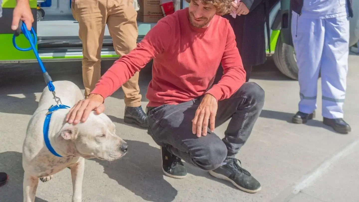 Un municipio prohibió la venta de mascotas y los criaderos