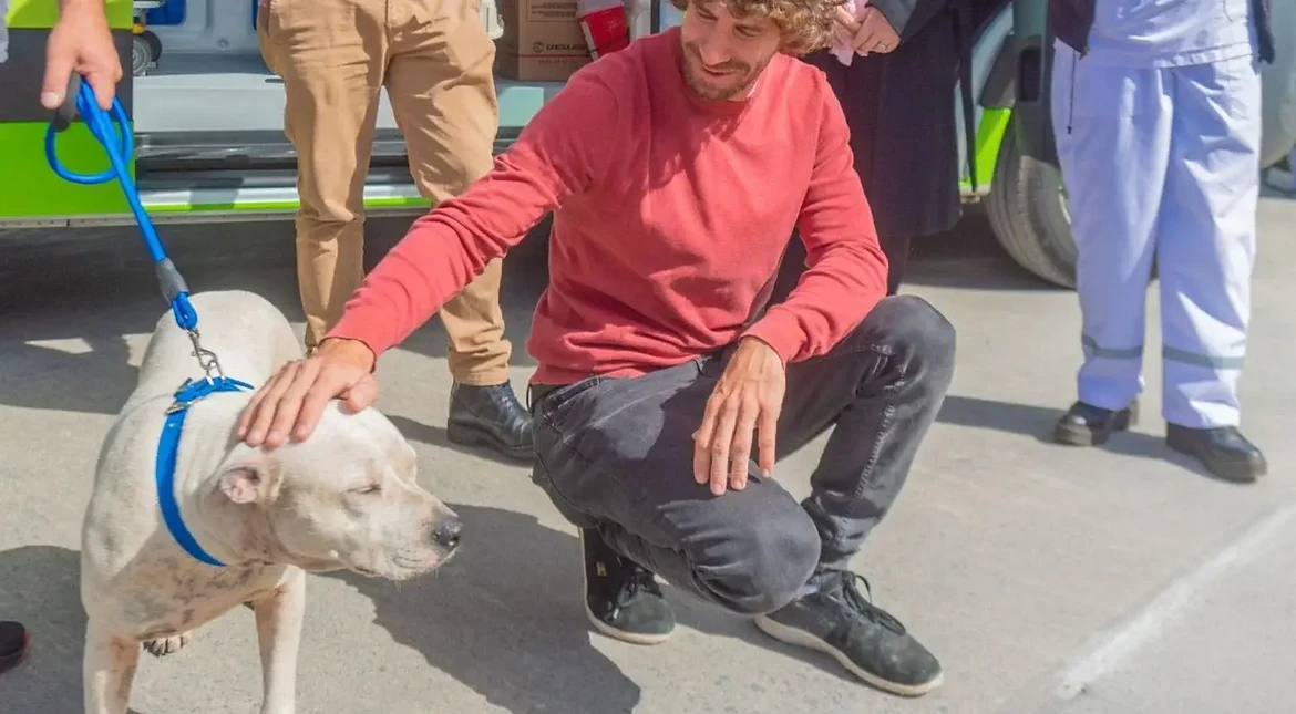 Un municipio prohibió la venta de mascotas y los criaderos
