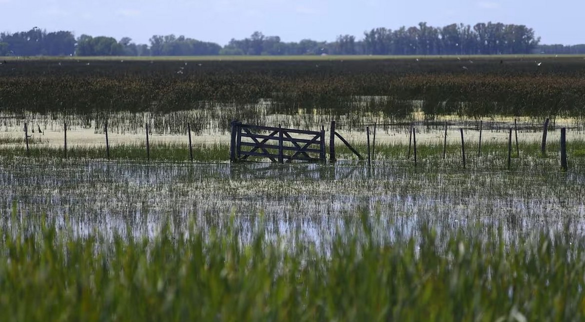 "Puede pasar de fuerte a muy fuerte": preocupación en el Gobierno bonaerense por el impacto de El Niño