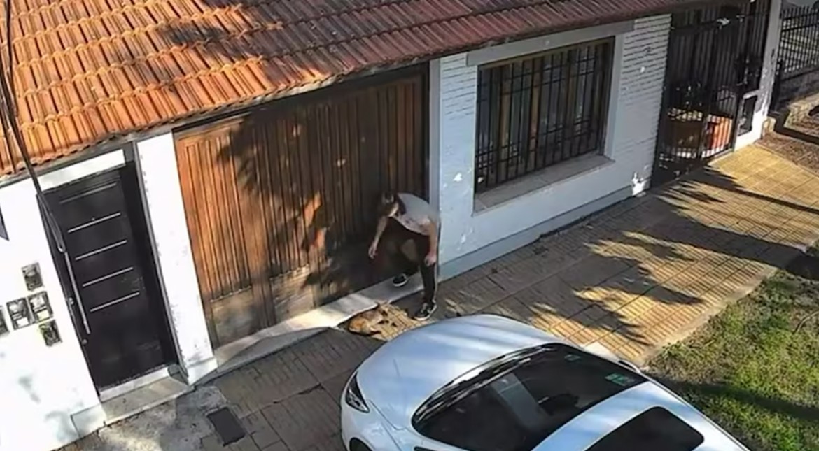 Crueldad y conmoción: un adolescente le pisó la cabeza a un gato y lo dejó agonizando