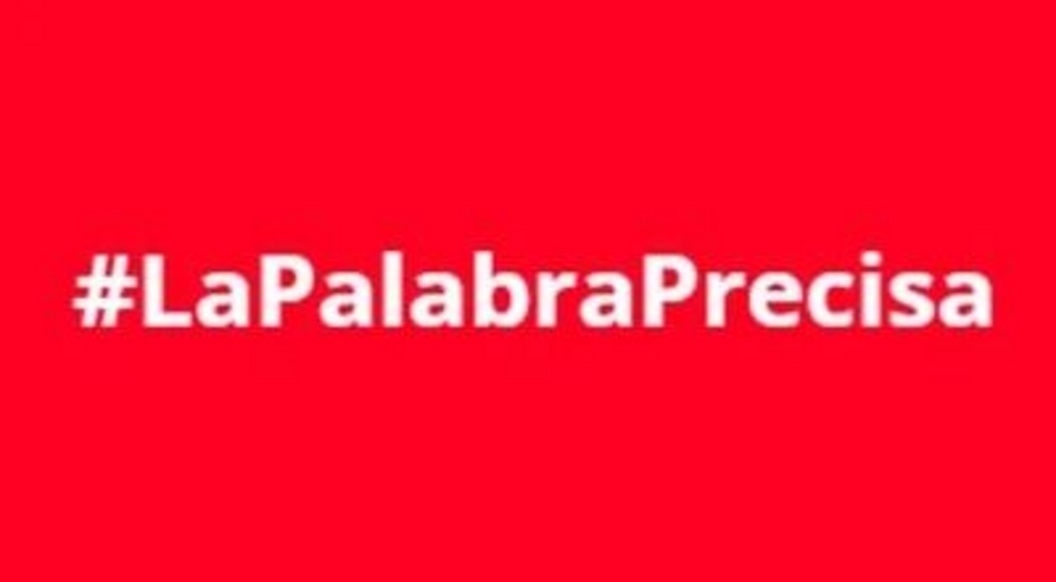 Conocé los autores marplatenses de “LaPalabraPrecisa” de septiembre