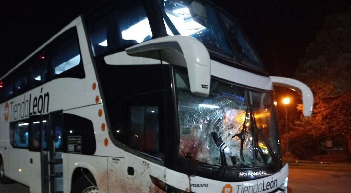 Un micro contra un caballo suelto en la Autovía 2 y la Justicia responsabilizó a la concesionaria