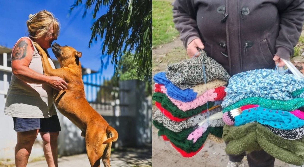 Sola y en bicicleta: rescata animales hace 25 años, les teje mantas a los perros de la plaza y necesita ayuda