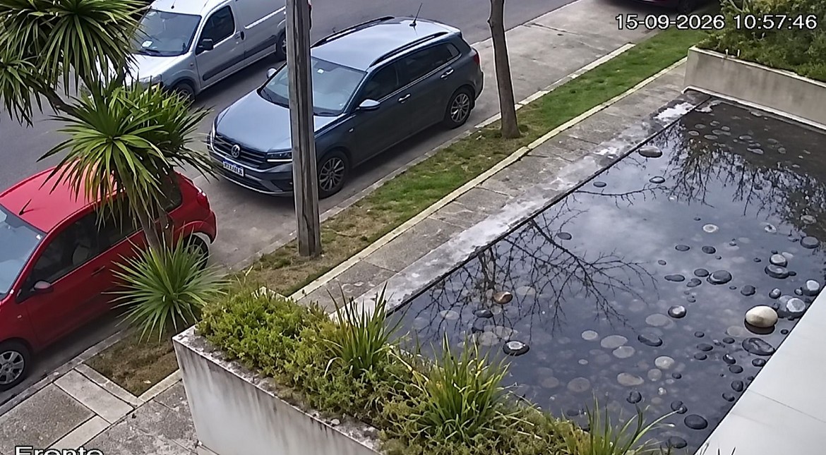 Video: usaron un inhibidor y robaron un bolso de una camioneta en Playa Grande