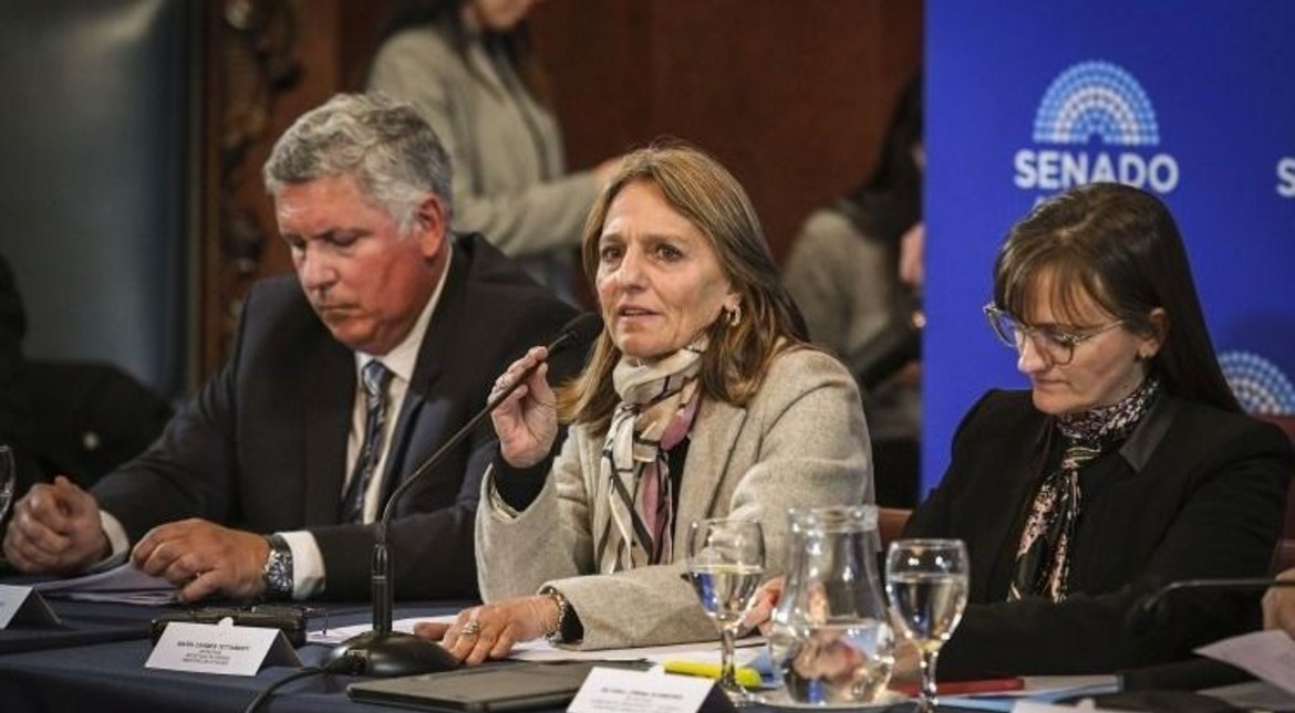 Zona Fría: el Senado dio dictamen al proyecto que puede dejar a Mar del Plata sin el beneficio
