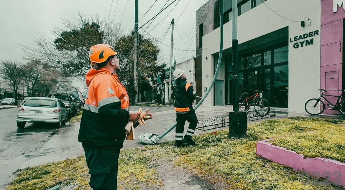 Postes y árboles caídos: se registraron 40 reclamos por el temporal en Mar del Plata