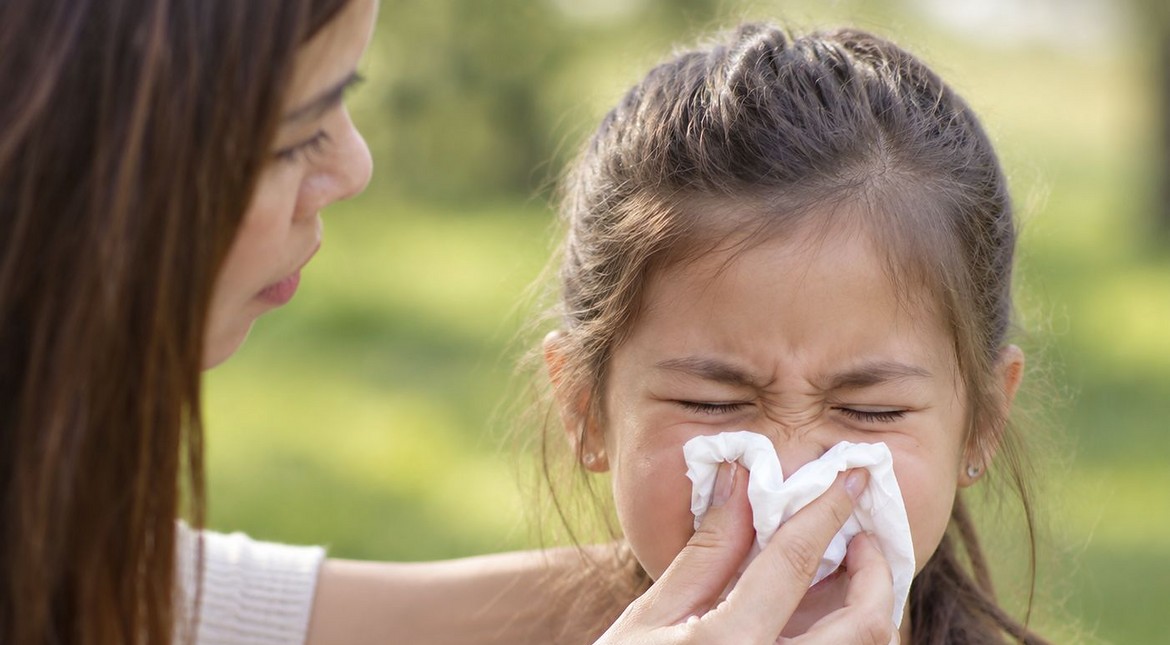Llegó la primavera: cuáles son las alergias más frecuentes y cómo protegerse