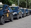 Taxis: piden que no se eliminen los logos identificatorios 