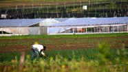 La sequía atrasa la producción y afecta la rentabilidad del campo en Mar del Plata y Batán. Foto ilustrativa:0223