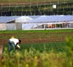 La sequía atrasa la producción y afecta la rentabilidad del campo en Mar del Plata y Batán. Foto ilustrativa:0223