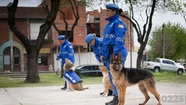 Por falta de presupuesto, la unidad canina de la Policía Local fue desarticulada