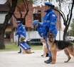 Por falta de presupuesto, la unidad canina de la Policía Local fue desarticulada