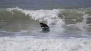 Pasó la segunda del surf adaptado