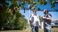 Hay preocupación y malestar en el cordón frutihortícola de la ciudad. Foto ilustrativa: prensa MGP.