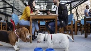 Una propuesta similar se aprobó recientemente en Bahía Blanca. Foto ilustrativa.