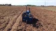 Amplían en 12 hectáreas la huerta agroecológica de Lavalle