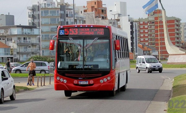 Los colectivos ya no circulan por Mar del Plata: a qué hora se reanuda el servicio