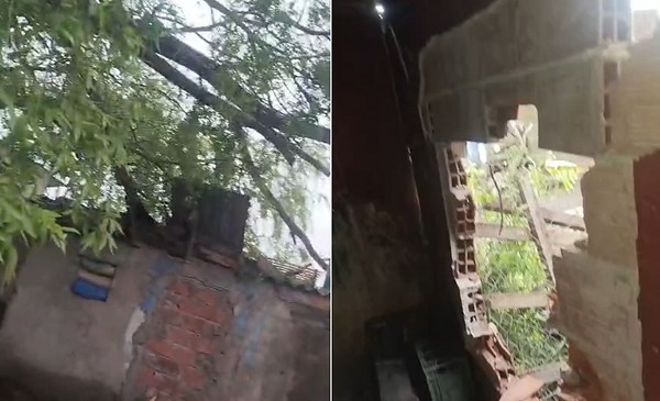 Por el temporal, un árbol impactó en el techo y destruyó su casa: "Quedamos en la calle"