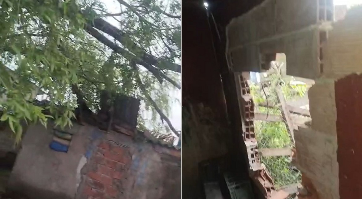 Por el temporal, un árbol impactó en el techo y destruyó su casa: "Quedamos en la calle"