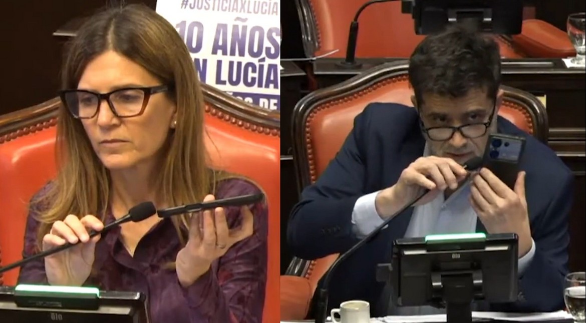 Cruce en el Senado bonaerense: Raverta cuestionó los insultos de Milei y los libertarios respondieron con un audio de Alberto Fernández