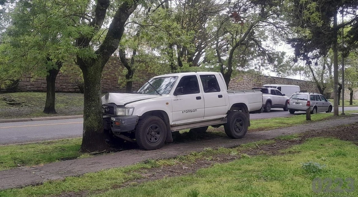 Joven chocó contra un árbol en forma insólita, vino el padre, se enojó con la policía y terminó detenido