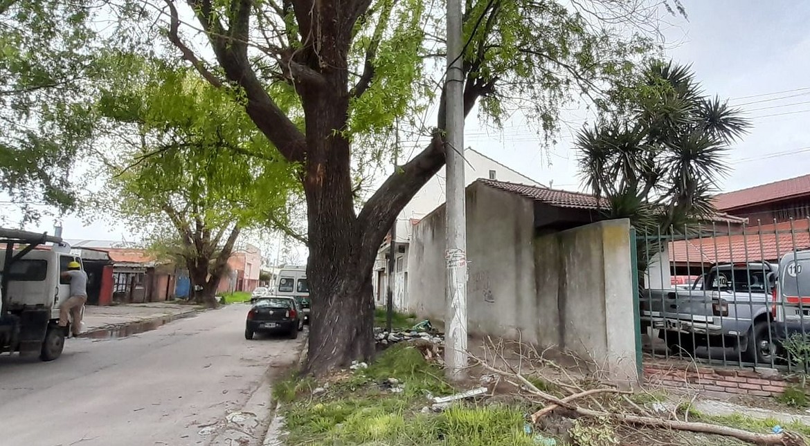 Un camión de mudanzas arrancó cables y derribó dos postes en una esquina de Mar del Plata