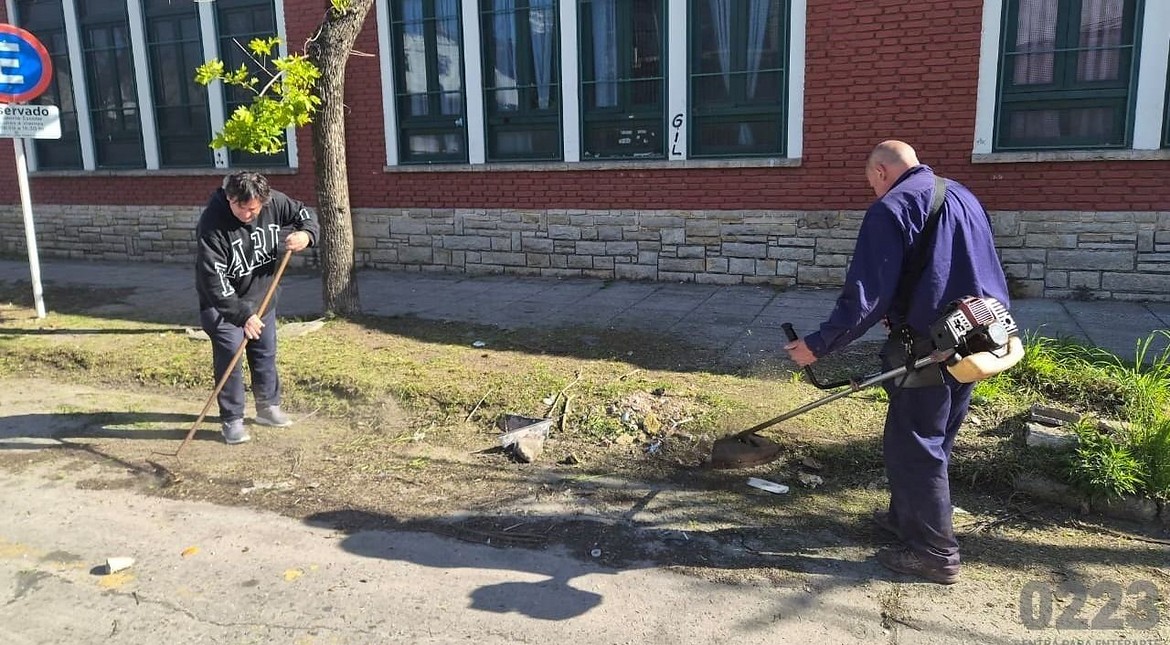 "Lo hacemos por los chicos": padres cortaron el pasto y limpiaron las inmediaciones de la escuela con plaga de ratas