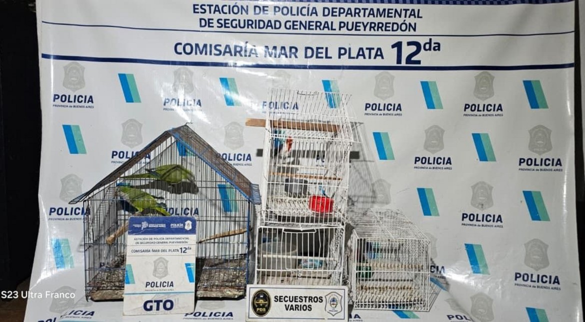 Variado: secuestran hojas de coca compactada, un cardenal, un tordo y dos cotorras